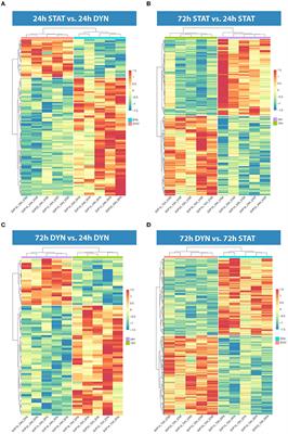 Mechanical Strain Induces Transcriptomic Reprogramming of Saphenous Vein Progenitors